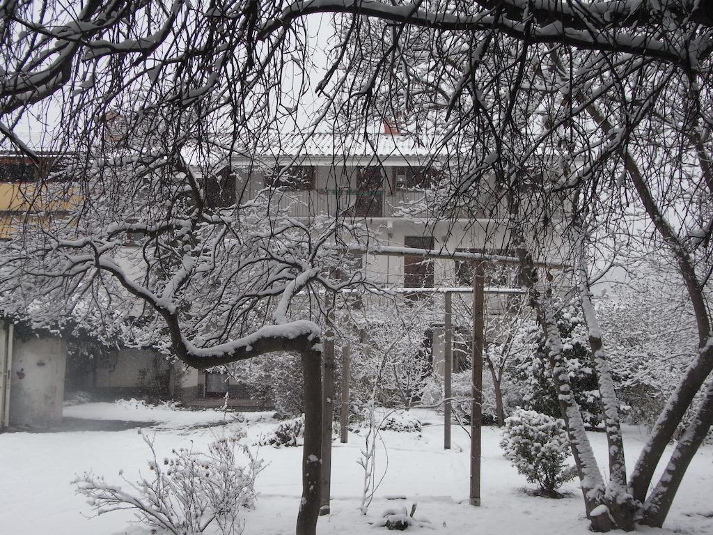 B&B Casa Passito Pavone Canavese Eksteriør bilde
