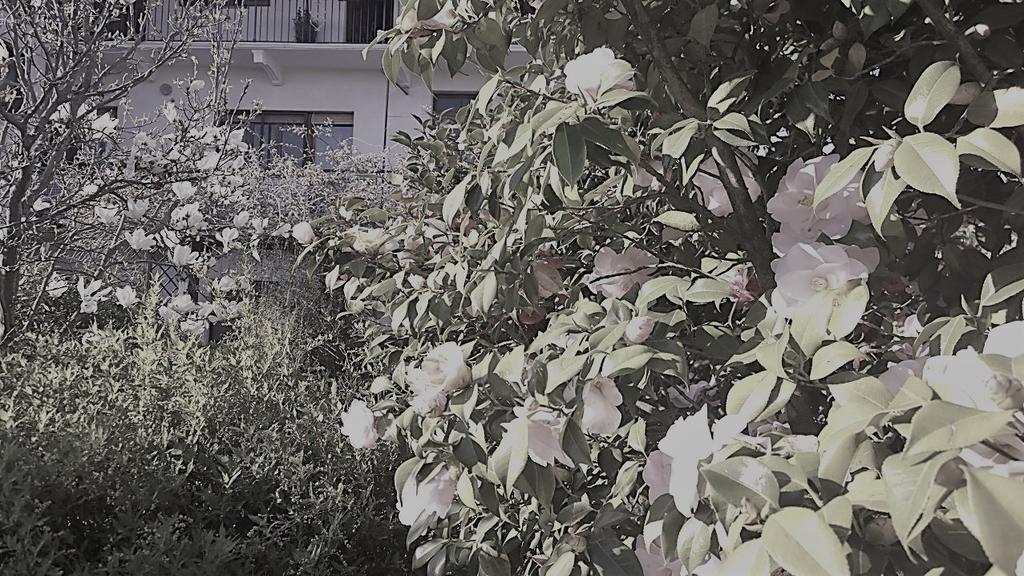 B&B Casa Passito Pavone Canavese Eksteriør bilde
